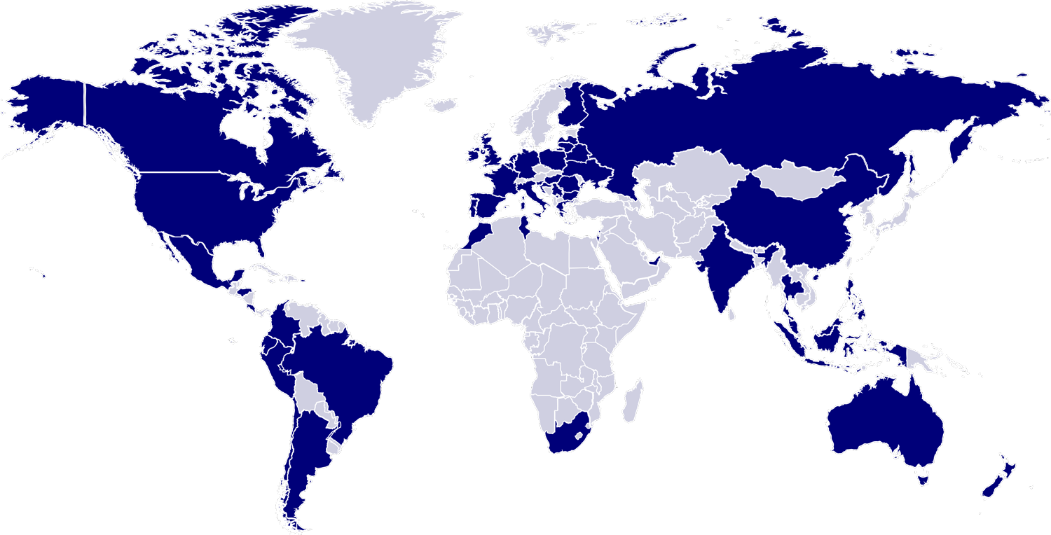 World map World map