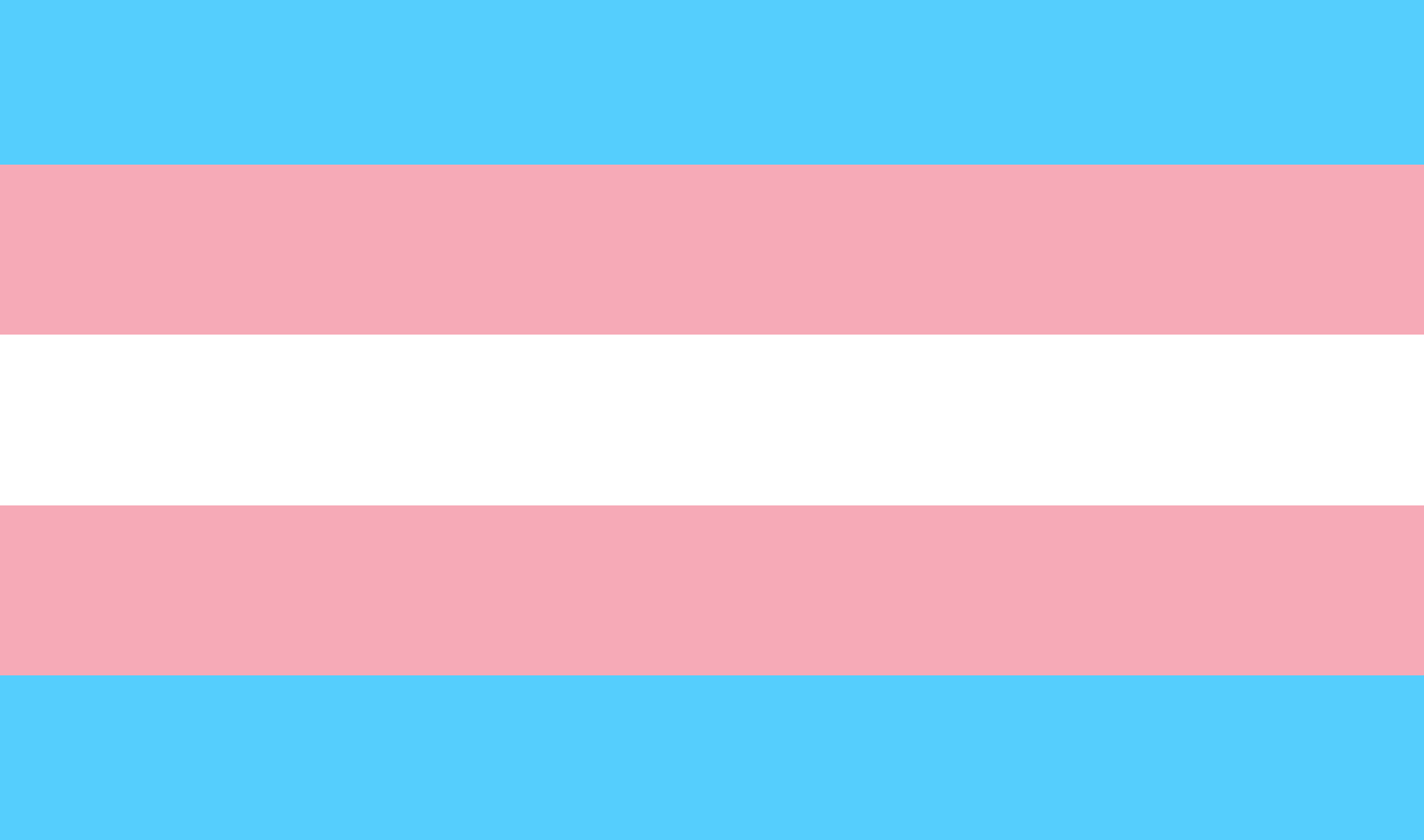 The History of the Transgender Flag